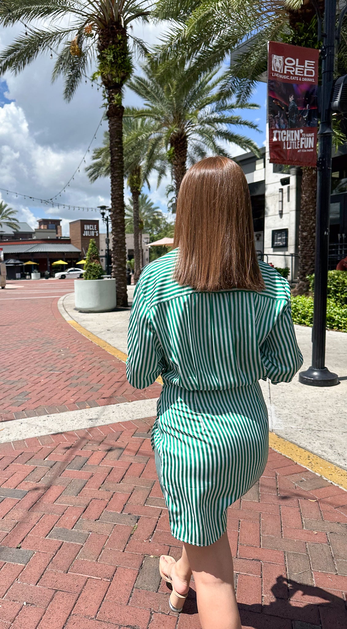 Green Stripe Satin Shirt Dress